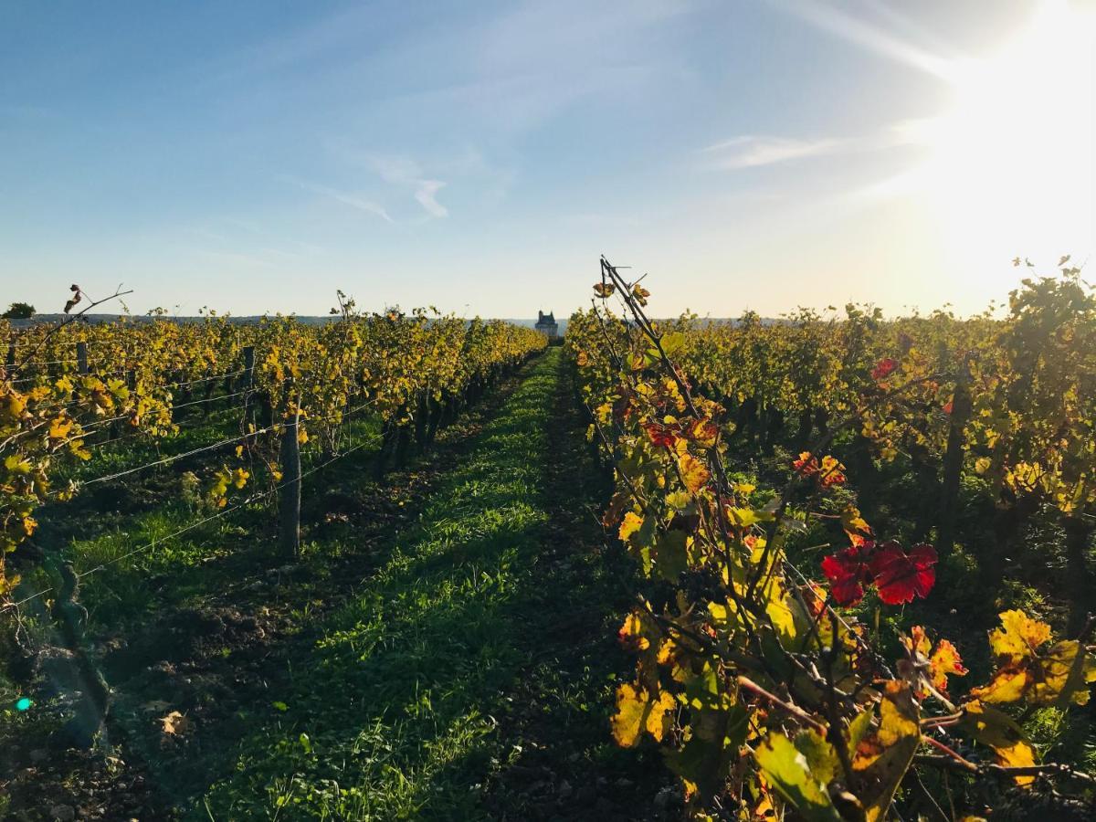 L'Ecrin De Verdure Ligré Kültér fotó