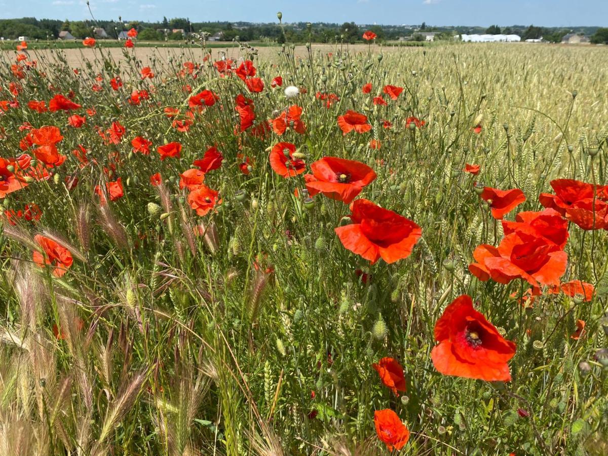 L'Ecrin De Verdure Ligré Kültér fotó