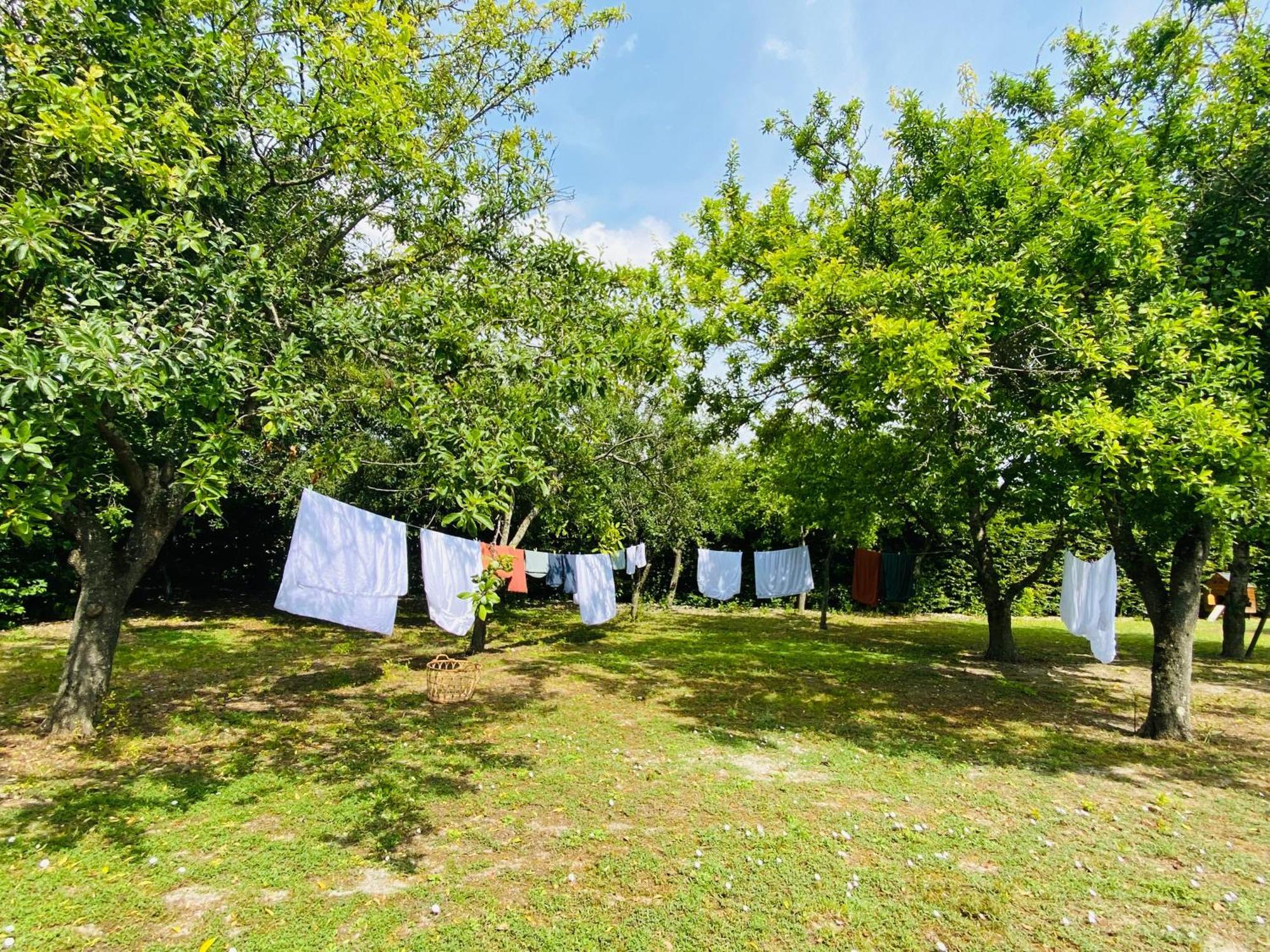 L'Ecrin De Verdure Ligré Kültér fotó