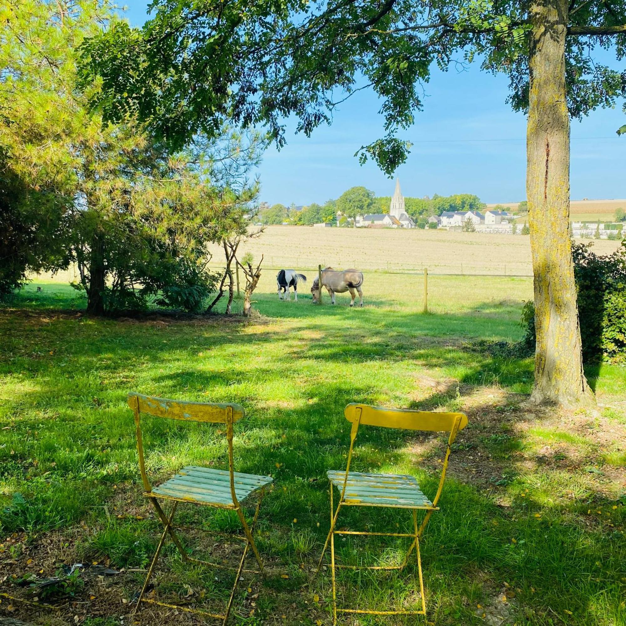 L'Ecrin De Verdure Ligré Kültér fotó