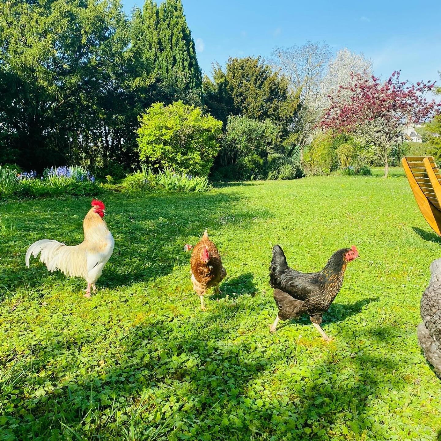 L'Ecrin De Verdure Ligré Kültér fotó