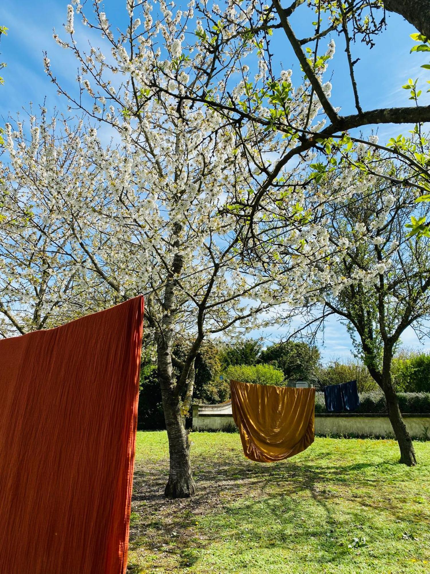 L'Ecrin De Verdure Ligré Kültér fotó