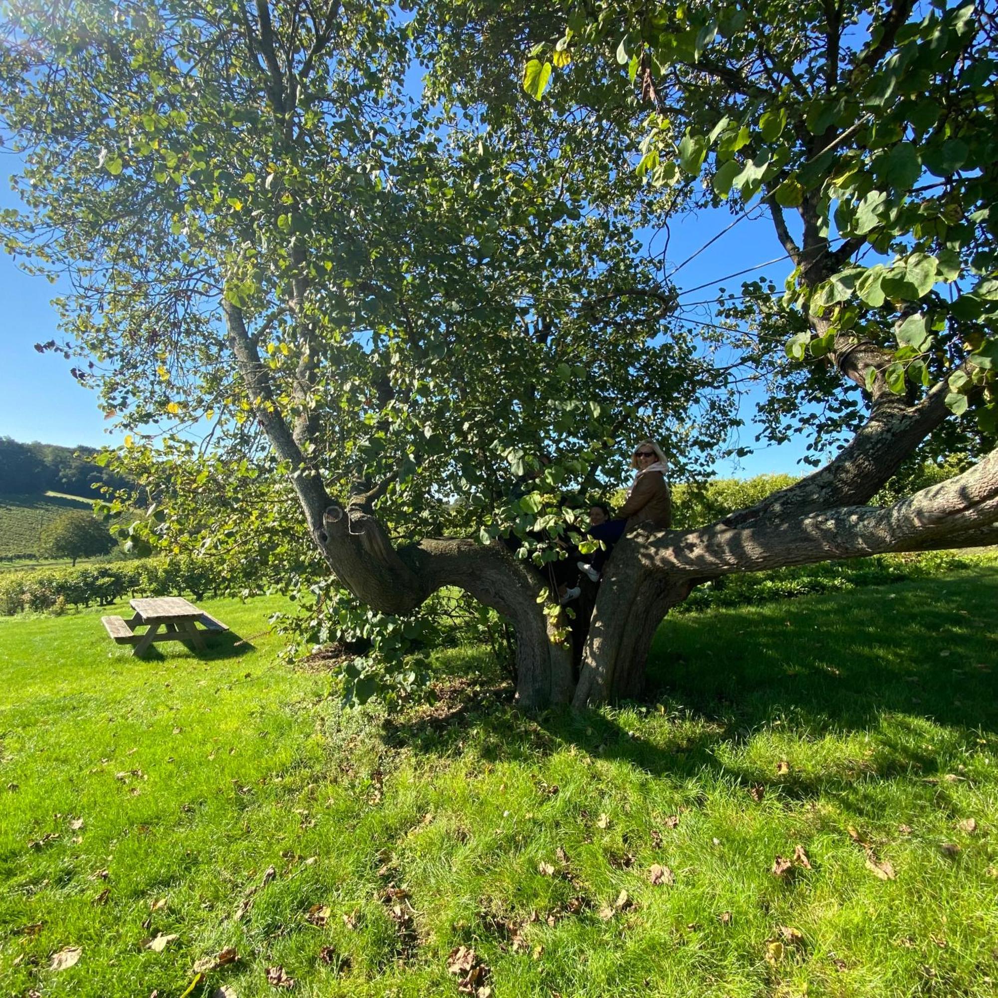 L'Ecrin De Verdure Ligré Kültér fotó